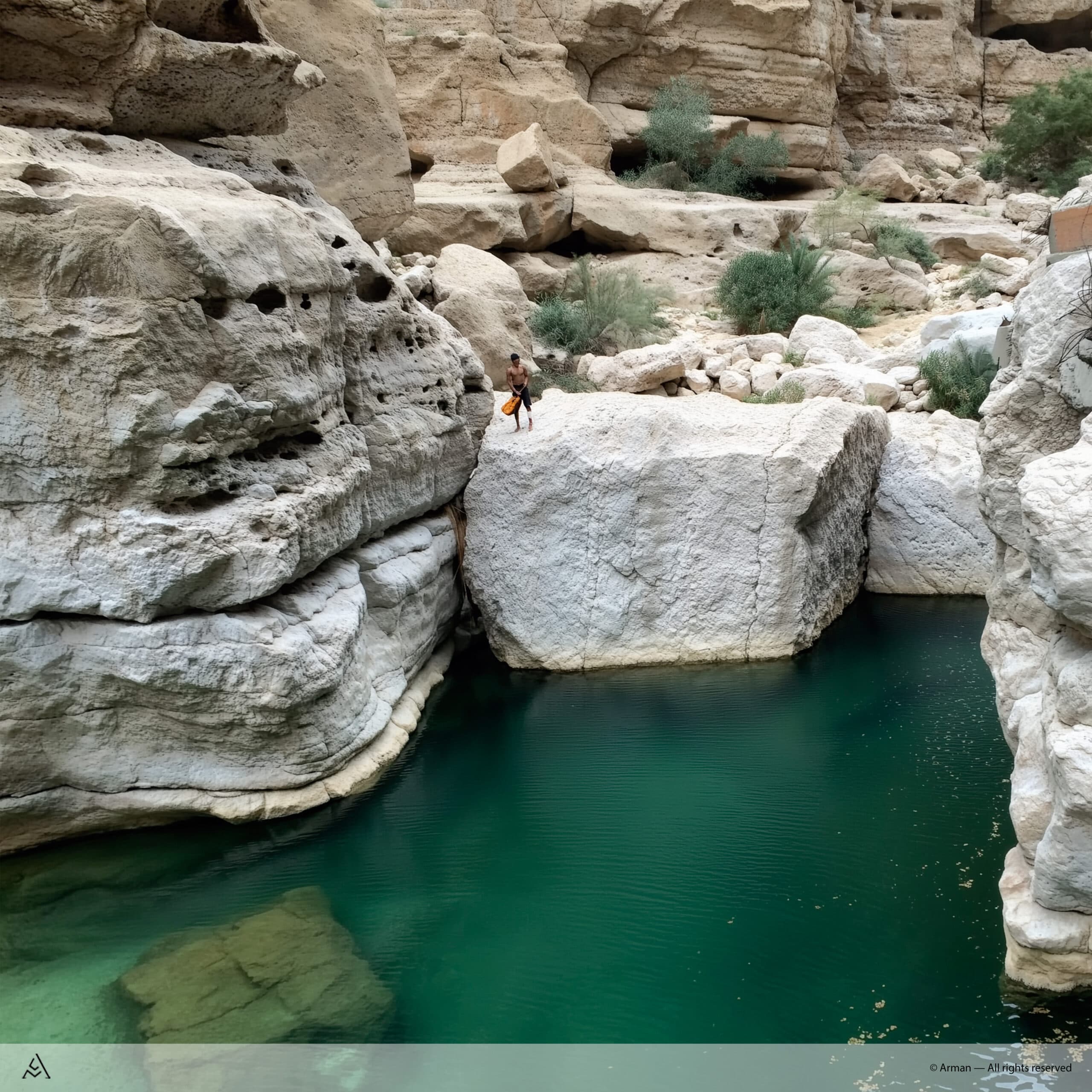 N013